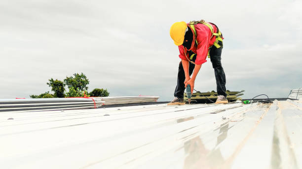 Best Asphalt Shingle Roofing  in Signal Hill, CA
