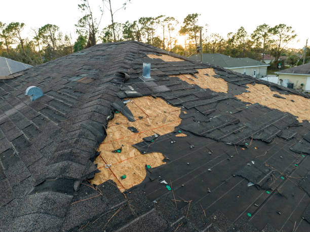 Best Roof Insulation Installation  in Signal Hill, CA